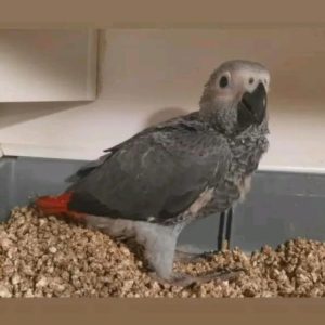 Foto de perfil de Marta