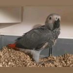 Foto de perfil de Marta